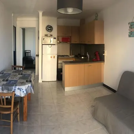 Apartman Situation Ideale F2, 2 Eme Ligne,climatise, *