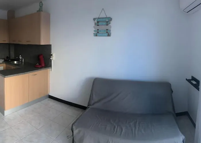 Apartamento Situation Ideale F2, 2 Eme Ligne,climatise,